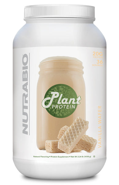 Plant Protein