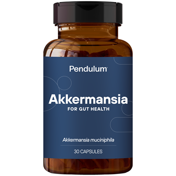 Péndulo Akkermansia