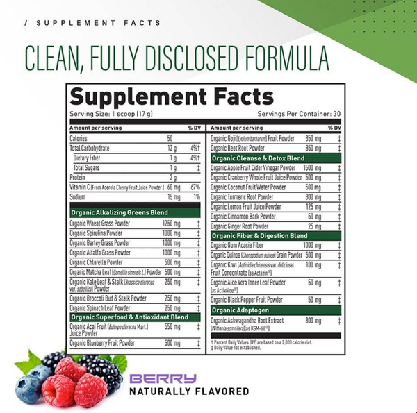 Outlive 100 Premium Organic Superfoods and Greens - Apple Cinnamon